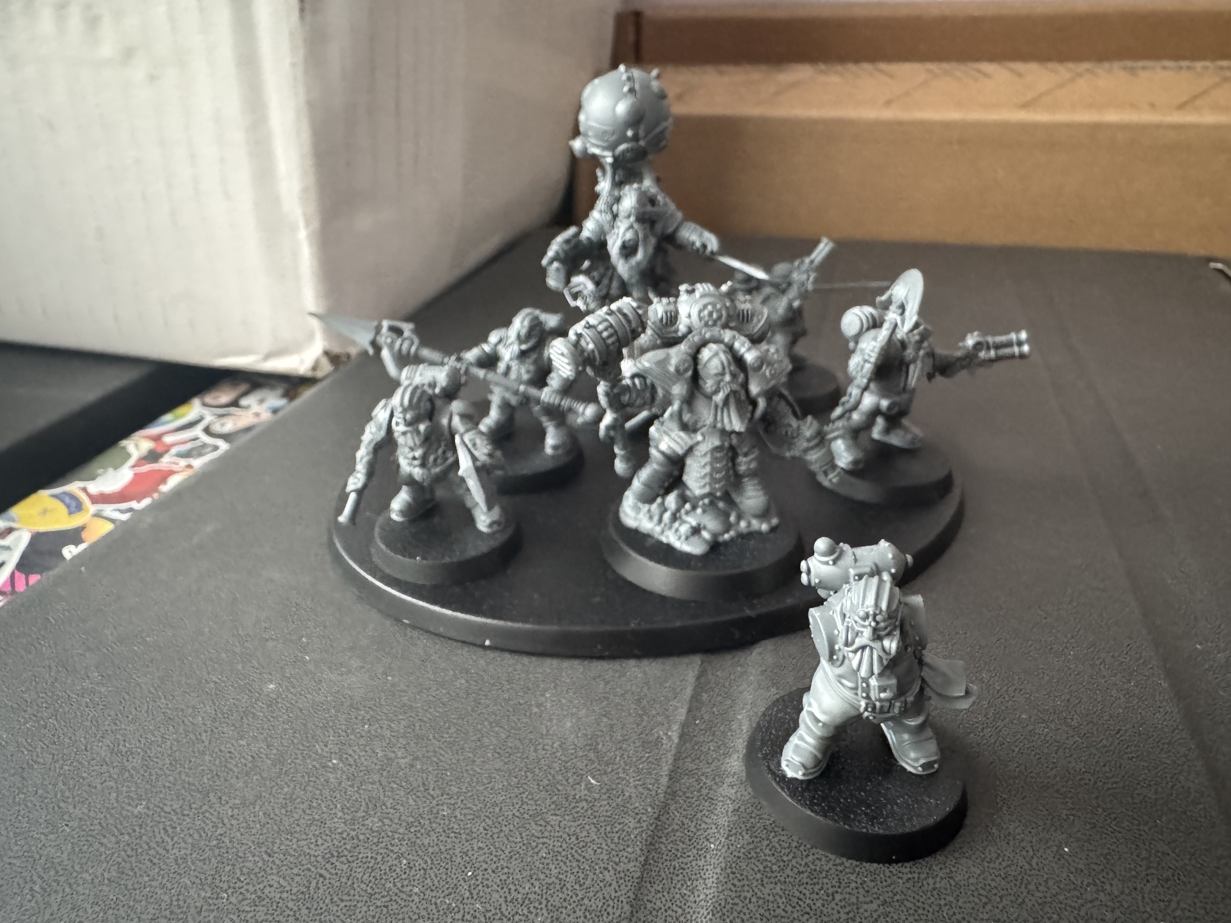 Petarda, the newest recruit