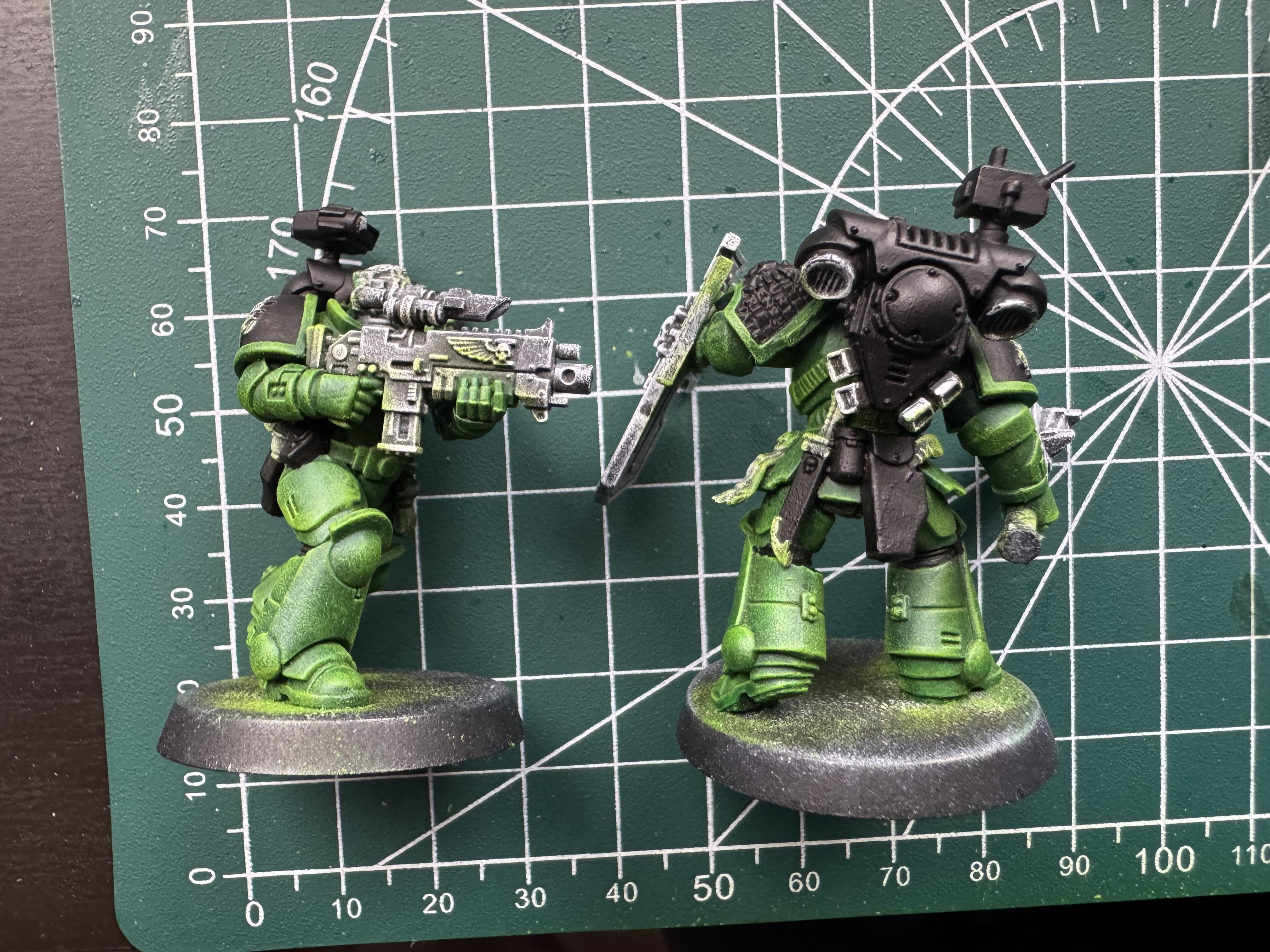 Salamanders after adding black