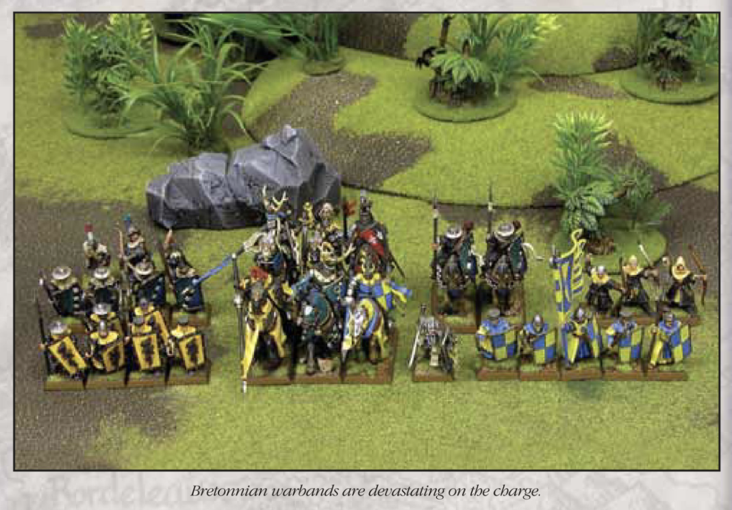 Bretonnian warband concept