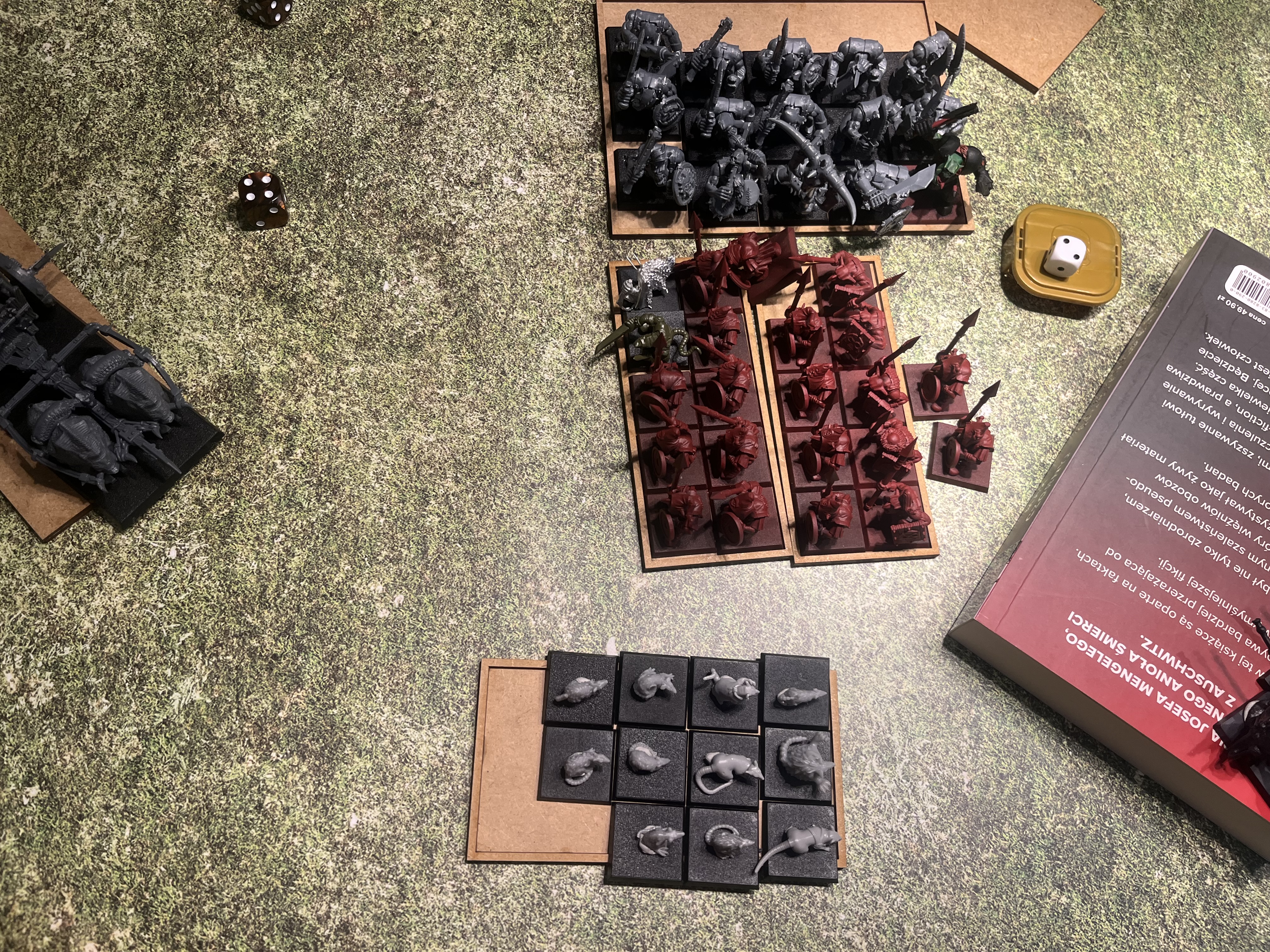 The battlefield after the Skaven collapse