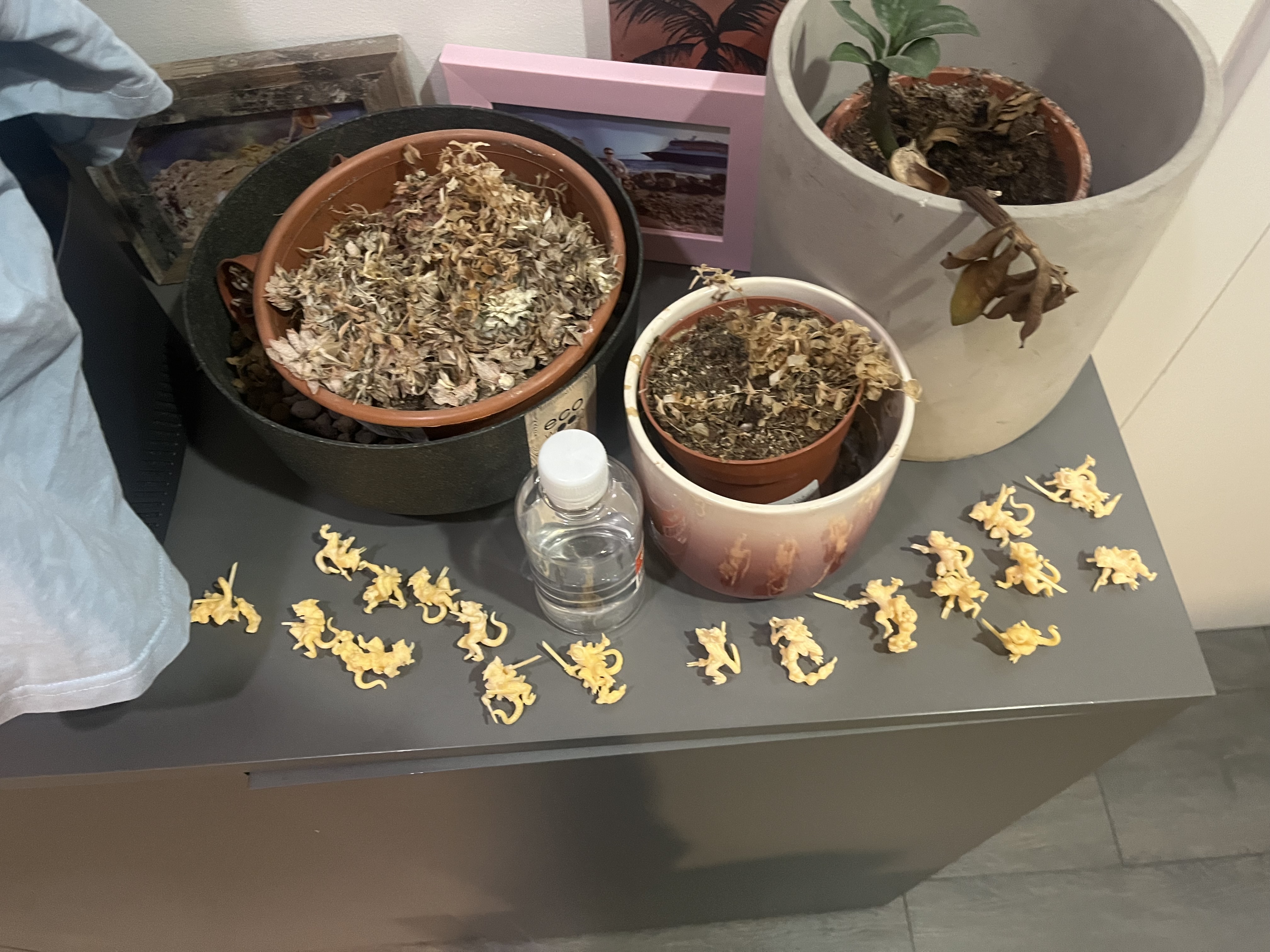 Freshly printed rat ninjas