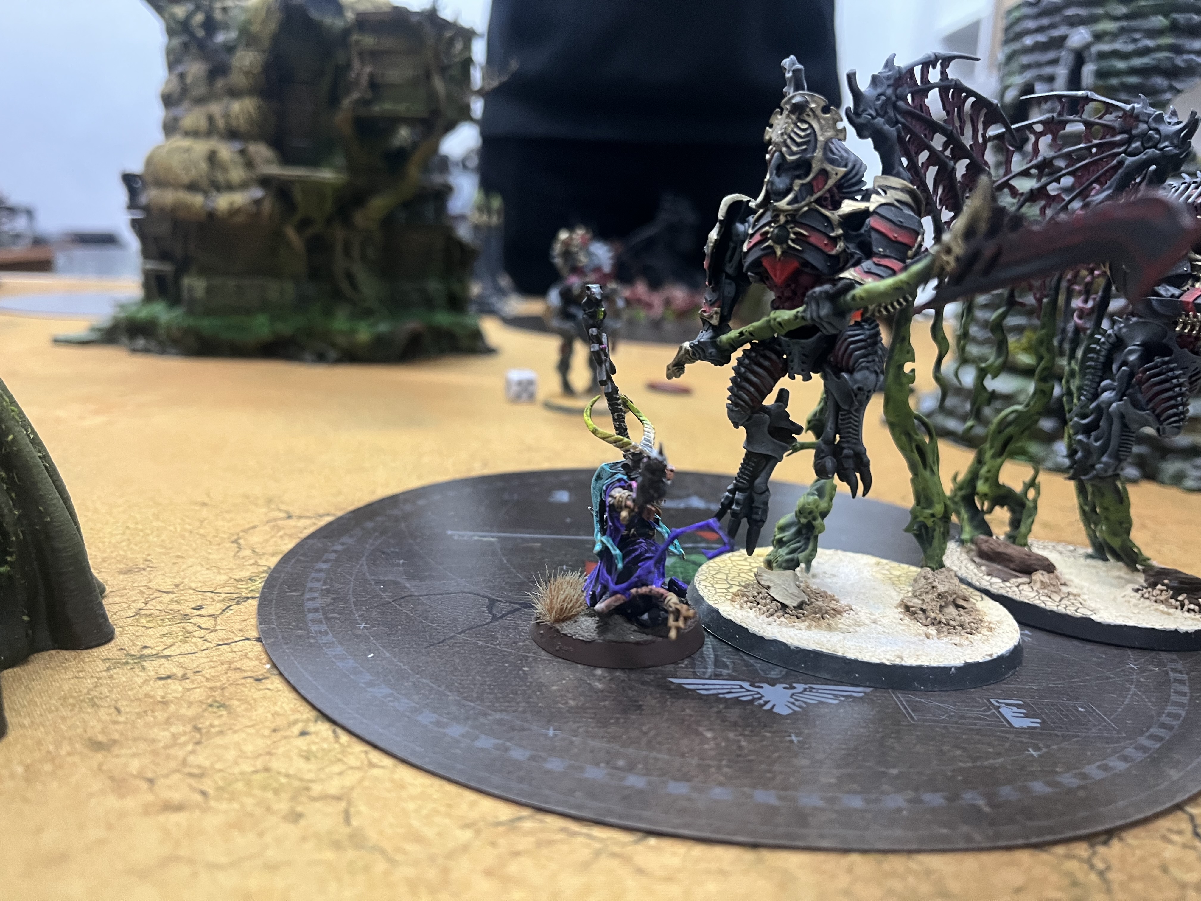 Victory photo after the game