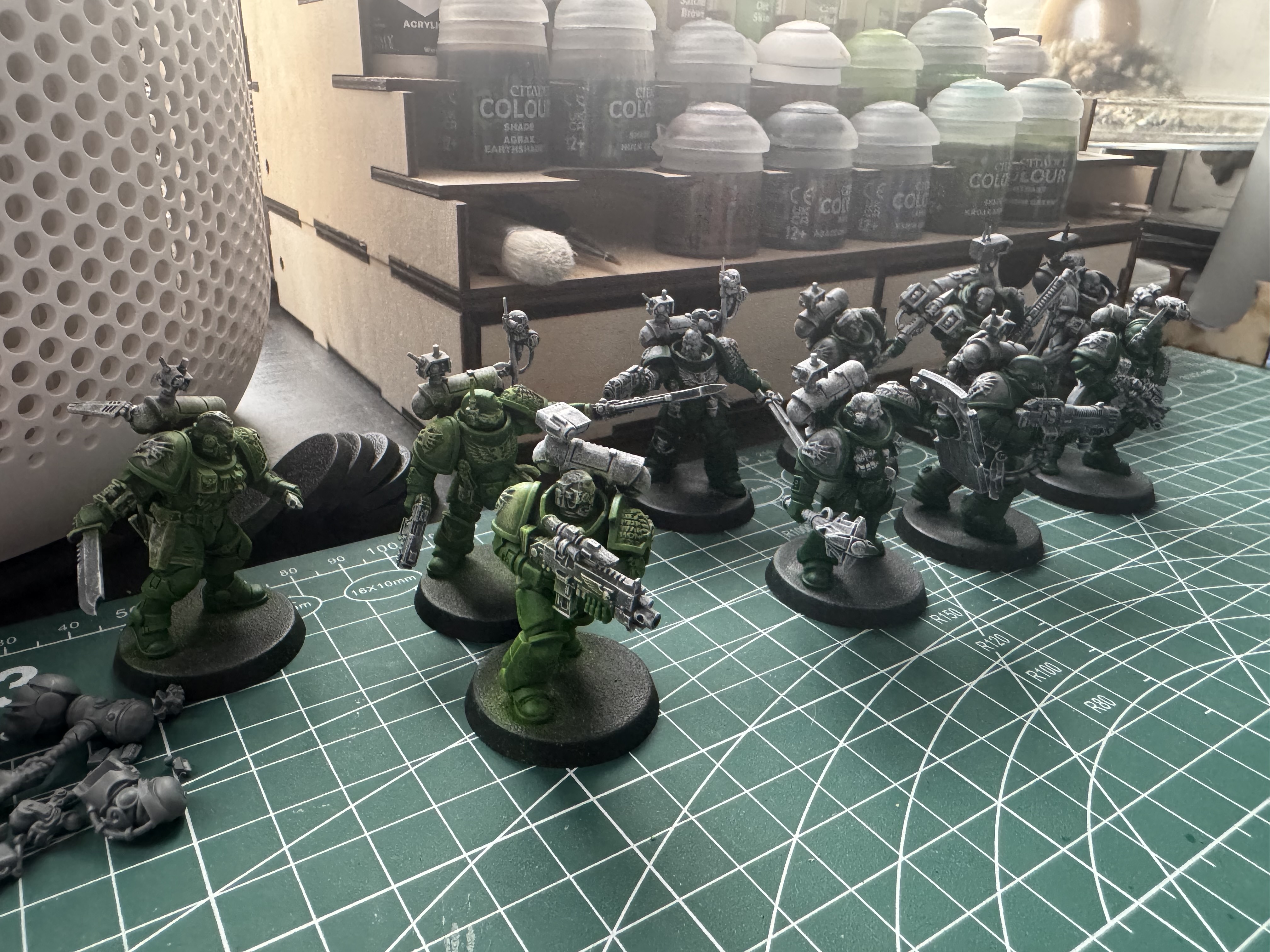 Work in progress Salamanders model