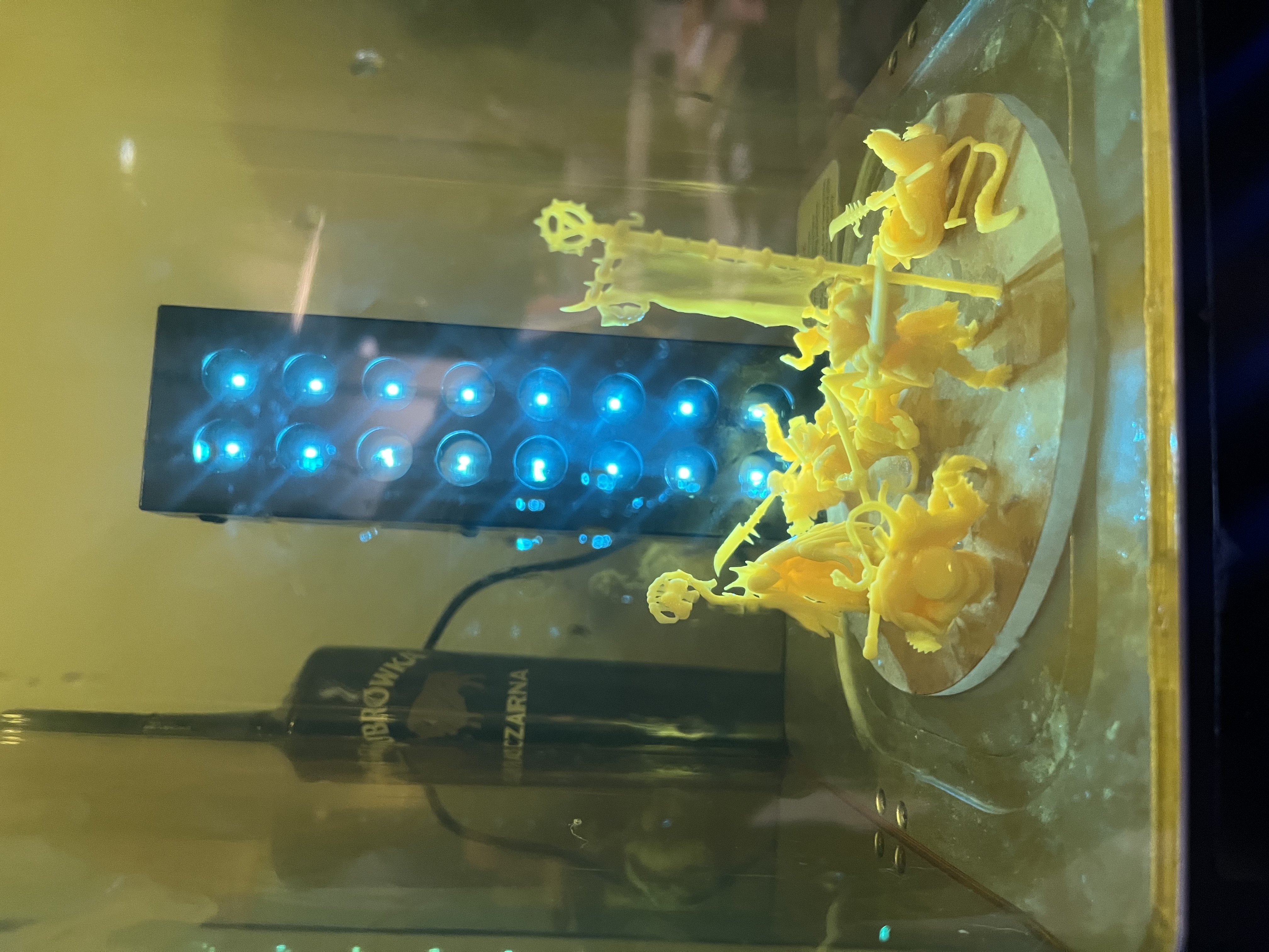 Freshly printed batch for the evening